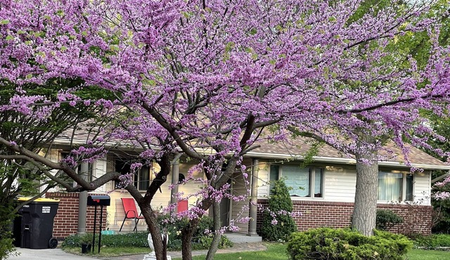 Lovely home in quiet neighborhood