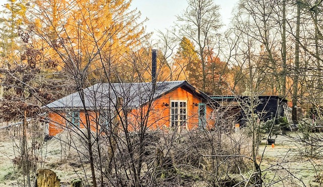 Lovely home in Storvorde with WiFi