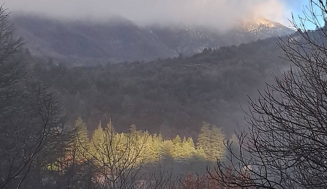 Lovely house with view of the Cevennes and large plot of land