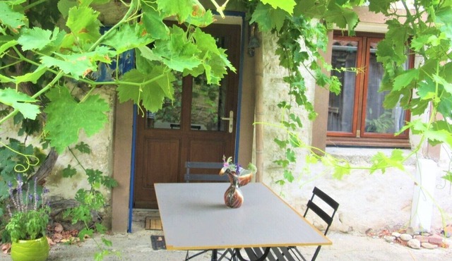 Lovely independent room in an artist's house