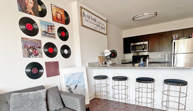 Lovely luxury 1 bedroom apartment - 15 min from NYC