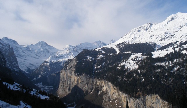 Lovely Modern Apartment