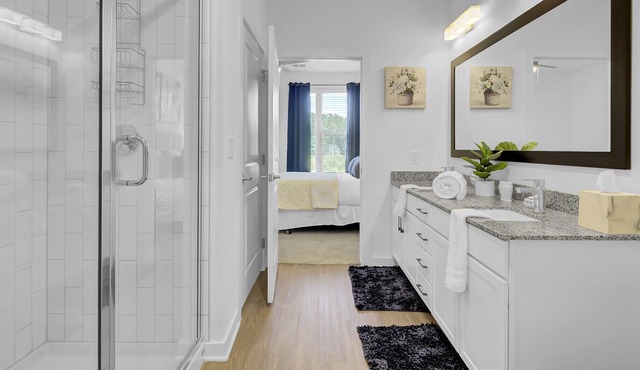 Lovely Modern Summerville/Charleston 1BD/1BA Apartment