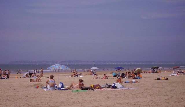 Lovely Norman half-timbered house, Manneville La Raoult