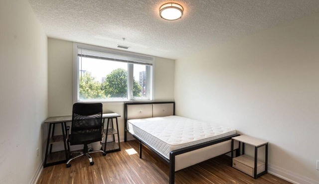 Lovely One Bedroom Entire Apartment Close to University