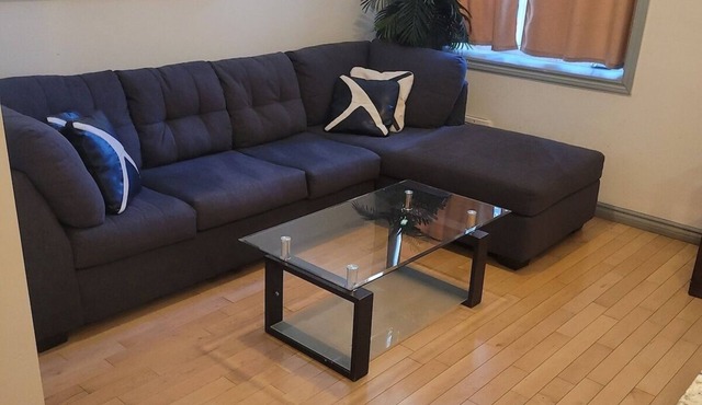 Lovely Place Downtown Ottawa 22D