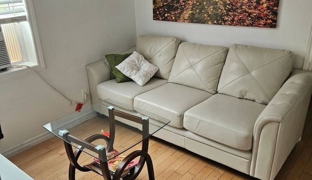 Lovely Place Downtown Ottawa 35D