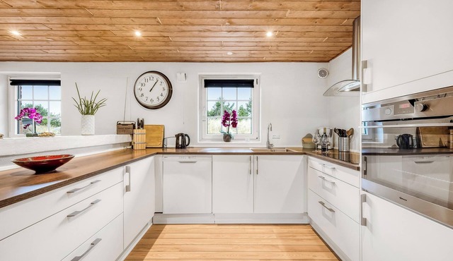 Lovely pool house on a lovely secluded plot by Søndervig - 1017