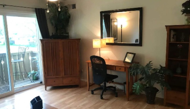 Lovely, Remodeled, Zen-like, 1-bdrm. Condo!