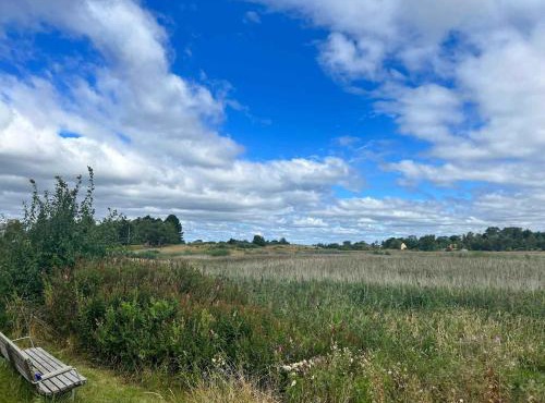 Lovely Secluded Cottage In Dronningmølle