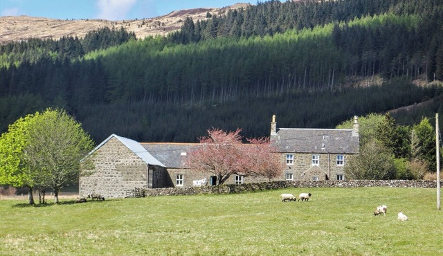 Lovely secluded house on the Isle of Mull.