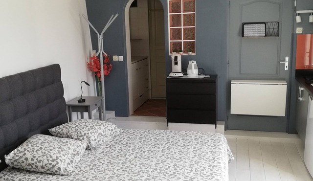 Lovely self-contained studio with terrace near Aix. Pets allowed