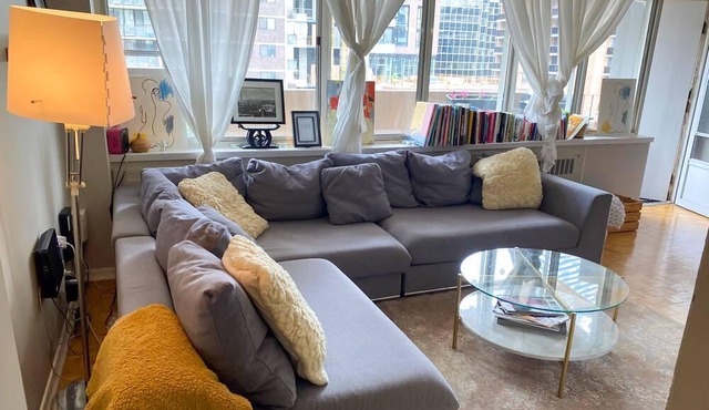Lovely spacious midtown apartment