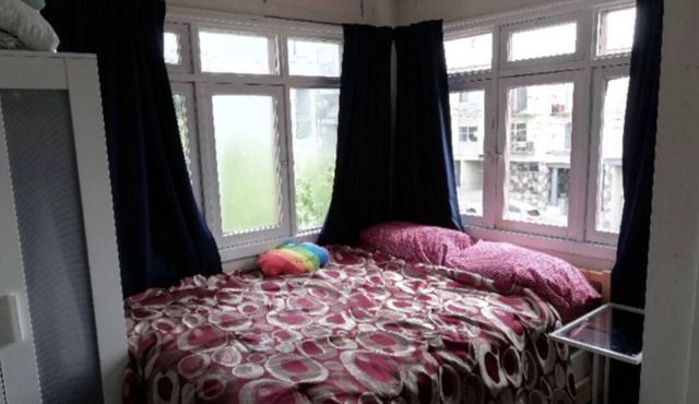 Lovely Studio at Glen Park BART Station