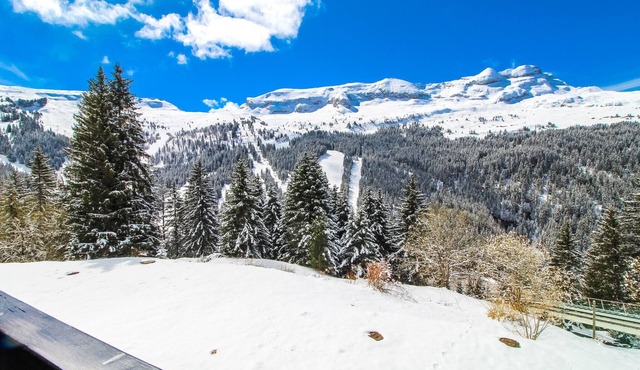 Lovely Studio Cabin in the center of Flaine Foret