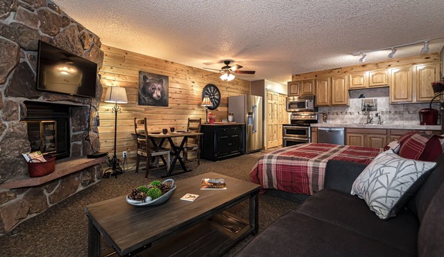 Lovely Studio with Pond and Mountain Views!