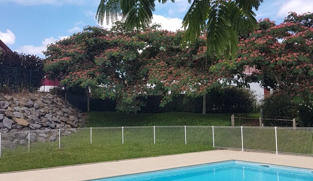 Lovely T2 ground-floor apartment with all comforts. Design, secure-pool- private parking.