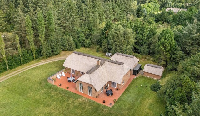 Lovely thatched holiday home with spa and sauna.