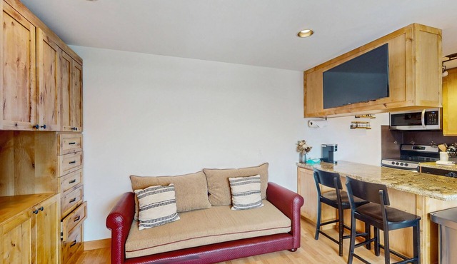Lovely third-floor studio with ski & mountain views plus washer/dryer