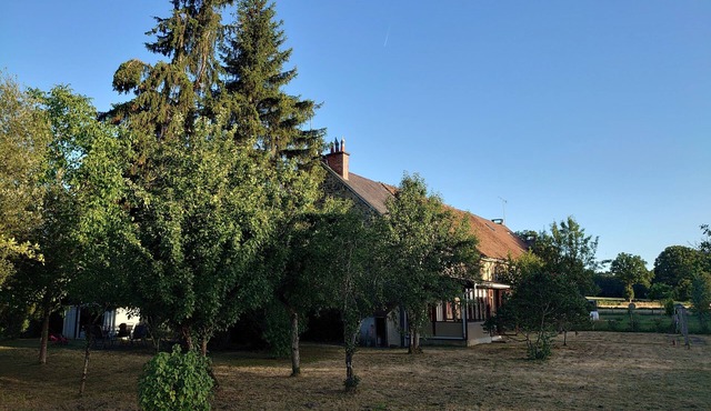 Lovely traditional Berrichonne cottage close to Saint Benoit Du Sault