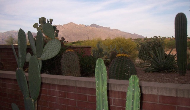 Lovely Two Bedroom Getaway Located On Omni National Golf Course