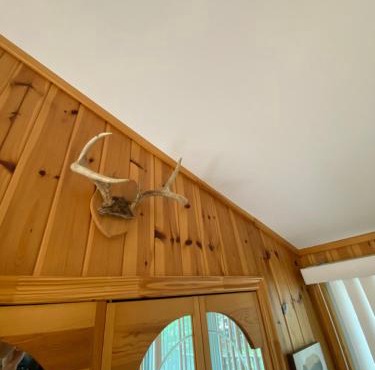 Lovely waterfront private cottage with hot tub in Kawartha Lakes
