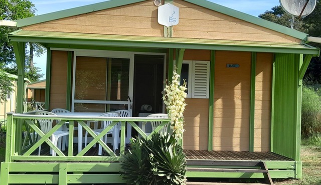 Lovely, well-equipped bungalow 300m from a very large sandy beach!