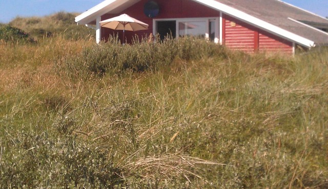 Lovely wooden house in a beautiful location - close to the beach, dunes and forest