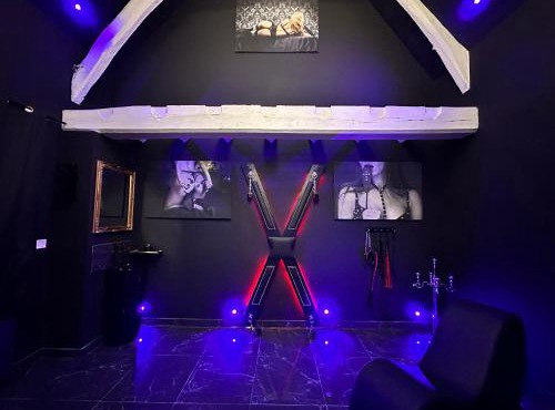 Loveroom de luxe - Thème 50 nuances de grey maison privative spa insolite