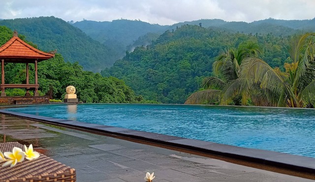 Lovina hillside & ocean view villas