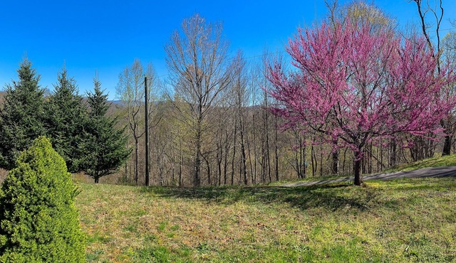 LOW SPRING RATES! Hot Tub, Long Range Views, Fire Pit & Wi-Fi