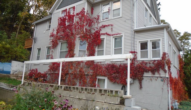 Lower flat steps from the lake and downtown