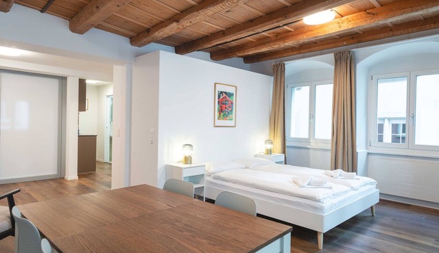 LU Emme 4 - HITrental Eisengasse Apartment
