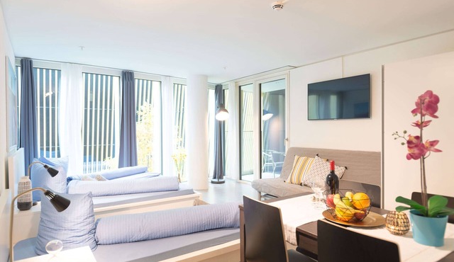 LU Nadelwehr I - Allmend HITrental Apartment