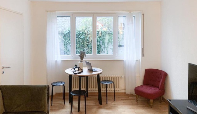 Lucerne Apartment - near lion monument - by PAF