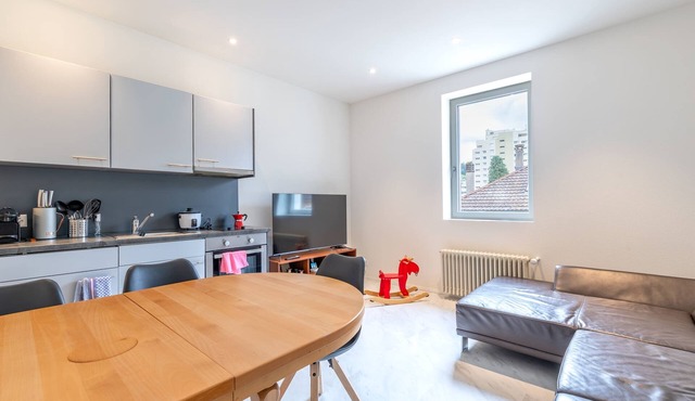 Lucerne Apartment | Pilatus View + Gondola + Parking