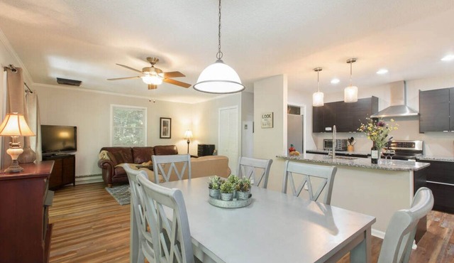 Lucerne Chalet - Treetop Mountain Views In Downtown Asheville -FP, Dog Friendly!