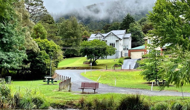 Lucille…with a view.