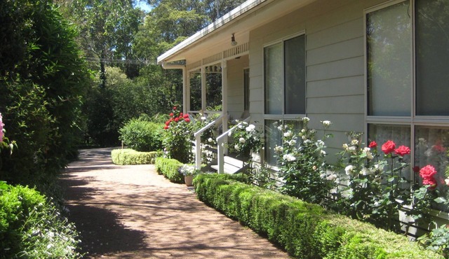 Lucindale lovely cottage garden