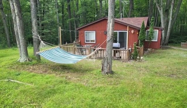 Lucky Bear Lodge. Secluded Cabin in the Woods, Beach access. Pet friendly