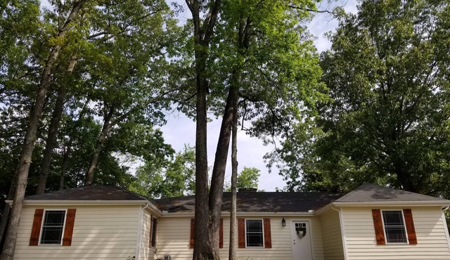 Lucky Lake Haven - Peaceful & Beautiful with all the extras