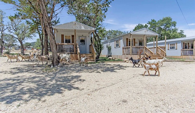 Lucky Star Ranch in Bandera