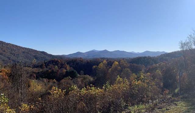Lucy's Cottage has Exceptional views of the Blue Ridge Mountains!