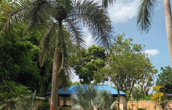 Lujoso vacacional en Pedro Brand