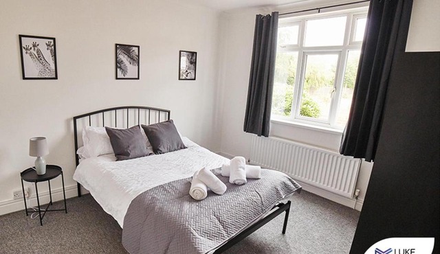 Luke Stays - Olive Gardens