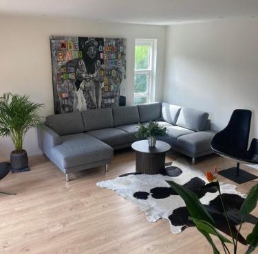 Luksus Horsens villa