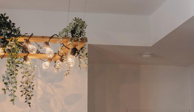 Lum The Queen - Spacious One-Bedroom Apartment