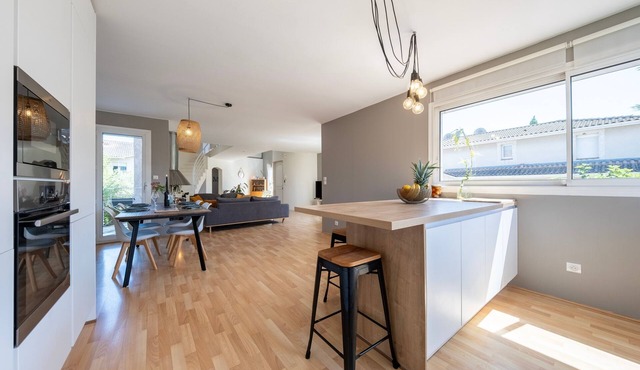 Lumière Toulousaine - Duplex climatisé