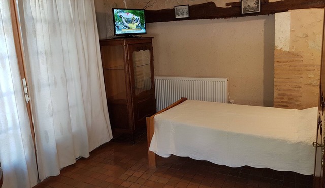 Lumiere - The clos of birds