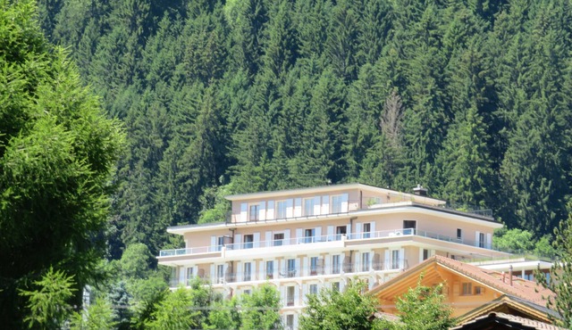 Luminous, Airy Apartment Overlooking Gstaad Valley, Switzerland
